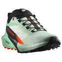 Salomon Sense Ride 5 Bay/Black/Cherry Tomato   Női futócipő