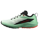Salomon Sense Ride 5 Bay/Black/Cherry Tomato   Női futócipő