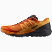 Salomon Sense Ride Sense Ride 4 Vibrant Orange / Ebony  Férfi futócipő