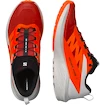 Salomon Sense Ride SENSE RIDE 5  Férfi futócipő