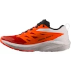 Salomon Sense Ride SENSE RIDE 5  Férfi futócipő