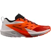 Salomon Sense Ride SENSE RIDE 5  Férfi futócipő