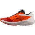 Salomon Sense Ride SENSE RIDE 5  Férfi futócipő