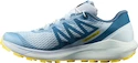 Salomon Sense Ride W Arctic Ice  Női futócipő