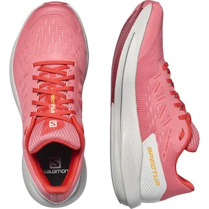 Salomon Spectur W Tea Rose/Lunar Rock  Női futócipő
