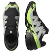 Salomon Speedcross 6 Gore-Tex Black/Alloy/Green Gecko   Férfi futócipő