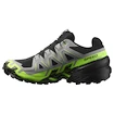 Salomon Speedcross 6 Gore-Tex Black/Alloy/Green Gecko   Férfi futócipő