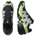 Salomon Speedcross 6 Gore-Tex Black/Alloy/Green Gecko   Férfi futócipő