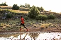 Salomon Speedcross   Férfi futócipő