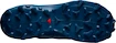 Salomon  Wildcross GTX Navy Blazer  Férfi futócipő