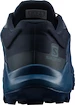 Salomon  Wildcross GTX Navy Blazer  Férfi futócipő
