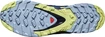 Salomon XA Pro 3D V8 GTX W Plum Caspia  Női futócipő