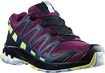 Salomon XA PRO 3D V8 GTX W Plum Caspia női futócipő