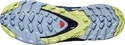 Salomon XA Pro 3D V8 GTX W Plum Caspia  Női futócipő