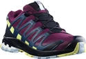 Salomon XA PRO 3D V8 GTX W Plum Caspia női futócipő