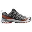 Salomon Xa Pro 3D V9 Castlerock/Black/Burnt Ochre   Férfi futócipő