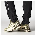 Salomon Xa Pro 3D V9 Deep Lichen Green/Safari/Dark Earth   Férfi futócipő