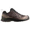 Salomon Xa Pro 3D V9 Gore-Tex Black Coffee/Rum Raisin/Olive Night   Férfi futócipő
