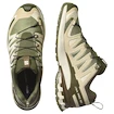 Salomon Xa Pro 3D V9 Gore-Tex Deep Lichen Green/Safari/Dark Earth   Férfi futócipő
