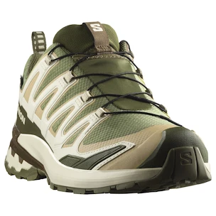 Salomon Xa Pro 3D V9 Gore-Tex Deep Lichen Green/Safari/Dark Earth   Férfi futócipő
