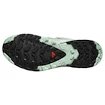 Salomon Xa Pro 3D V9 Gore-Tex Quiet Shade/Lily Pad/Blue Haze   Női futócipő