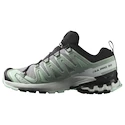 Salomon Xa Pro 3D V9 Gore-Tex Quiet Shade/Lily Pad/Blue Haze   Női futócipő