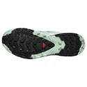 Salomon Xa Pro 3D V9 Gore-Tex Quiet Shade/Lily Pad/Blue Haze   Női futócipő