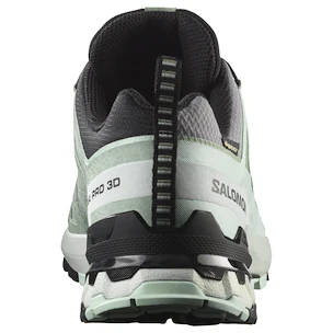 Salomon Xa Pro 3D V9 Gore-Tex Quiet Shade/Lily Pad/Blue Haze   Női futócipő