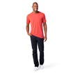 Smartwool  Merino 150 Plant-Based Dye Earth Red Wash Férfipóló