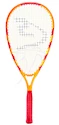 Speedminton    Crossmintonszett