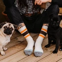 Stance  BOYD ST OFF WHITE  Zokni