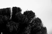 szerszámok PEATY'S  Bog Brush