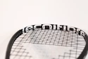 Tecnifibre Carboflex X-Speed 125 squash ütő