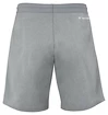 Tecnifibre  Club Short Silver Férfirövidnadrág