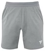 Tecnifibre  Club Short Silver Férfirövidnadrág