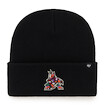 Téli sapka 47 Brand  NHL Arizona Coyotes Haymaker ’47 CUFF KNIT