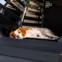 Thule Allax Dog mat wide Kutyaszállító ketrec alátét