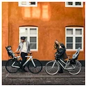 Thule Yepp Nexxt 2 Mini Black Kerékpáros gyerekülés