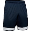 Under Armour   Férfirövidnadrág