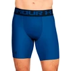 Under Armour HeatGear  Férfirövidnadrág