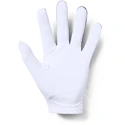 Under Armour  Medal Golf Glove grey Férfikesztyű LLG