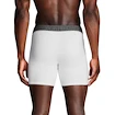 Under Armour Perf Cotton Solid 6in 3Pack White  Férfiboxeralsó