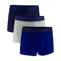 Under Armour Perf Tech Solid 3in 3Pack Royal  Férfiboxeralsó 3XL