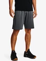 Under Armour  Raid 2.0 Shorts-GRY Férfirövidnadrág