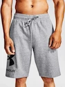 Under Armour  Rival FLC Big Logo Shorts gray Férfirövidnadrág S