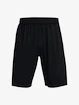Under Armour  Tech WM Graphic Short-BLK Férfirövidnadrág