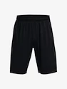 Under Armour  Tech WM Graphic Short-BLK Férfirövidnadrág