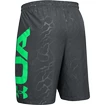Under Armour  Vanish Woven Emboss Férfirövidnadrág