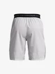 Under Armour  Vanish Woven Snap Sts-GRY Férfirövidnadrág
