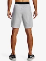 Under Armour  Vanish Woven Snap Sts-GRY Férfirövidnadrág